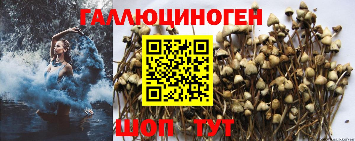 Галлюциногенные грибы Magic Shrooms  Вход с VPN  Котельники 